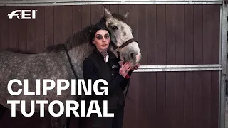 How to clip your horse's face according to the new FEI Rules | w/  @NikiBaxterIHorseGroom