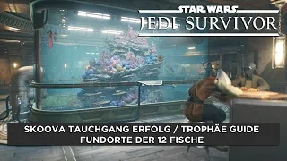 Star Wars Jedi Survivor Skoova Tauchgang Erfolg/Trophäe - alle 12 Fische + Fundorte