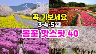 [한국대표 BEST 봄꽃명소 40선] 3·4·5월은 여기만 보고 떠나세요. 여행 에디터가 촬영 편집한 눈길·마음을 사로잡는 A등급 봄꽃 명소와 촬영 성지-trip in korea