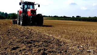 🔥Test nowych nabytków | Talerzowanie 2022 🚜 Massey Ferguson 6465 | Talerzówka Agro System 3m