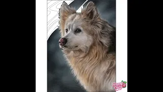Happy Color App | Dog | The Charmers’ Club Part 6 | Color By Numbers | MALI