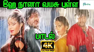 Hey Nanaa Vayasu Pulla ||ஹே நானா வயசு புள்ள ||K. S. Chithra|| Love H D Song