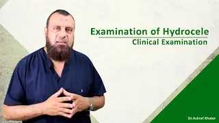 Examination of Hydrocele - Surgery - Prof. Ashraf Khater