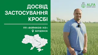 Фунгіцид Кросбі: захист озимої пшениці в умовах півдня - досвід ПП "Войніков і Ко" (Запорізька обл.)