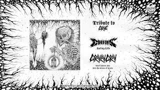 COFFINS / GRAVAVGRAV - "A Tribute To Grave" split-7" (full EP)