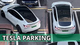 Tesla Model Y - Reverse The Car Into The Parking Space 2023