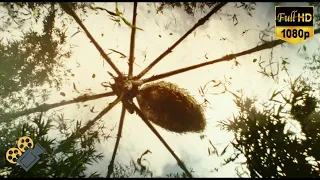 Giant Spider Attack  Scene | Kong: Skull Island (2017) [1080p 60fps HD]