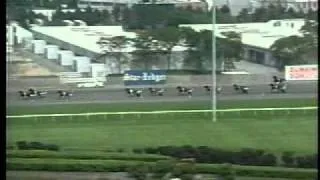 Hambletonian 2002 -Chip Chip Hooray