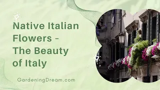 Native Italian Flowers – The Beauty of Italy