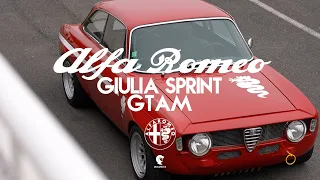 Alfa Romeo Giulia Sprint "GTAm", un rêve sur mesure...
