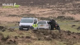 Monitoring the Exmoor Foxhounds on Exmoor National Park