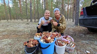 Счастье любого грибника или когда больше не куда складывать