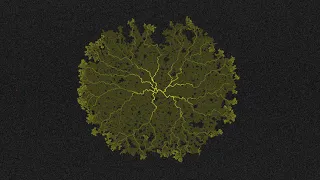 Slime Mold Simulation