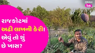 Rajkot માં અઢી લાખની કિલો કેરી! શું છે આ કેરીની ખાસિયત? Miyazaki Mango