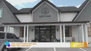 The Yuppy Puppy Pet Spa continues their mission of helping our furry friends