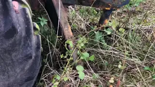 Zetor 6711 first start in years