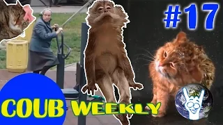 COUB Weekly #17 Лучшее  за неделю ( Июль 2015 часть 2 )