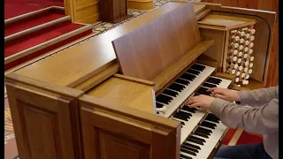 Toccata in C minor. Antti & Anne Liikanen