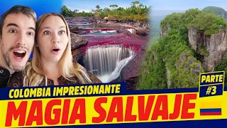 Argentinos REACCIONAN | Colombia MAGIA SALVAJE (parte 3) 🇨🇴 | Chuncanos