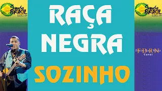 Raça Negra Sozinho Samba Brasil