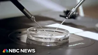 Alabama legislature passes bills to protect IVF treatments