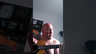 In bloom nirvana cover