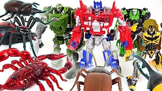 Transformers VS Insect army!! Save Peppa Pig from Robot spider, Scorpion, Cockroach!! - DuDuPopTOY