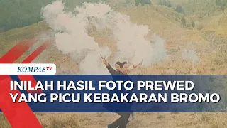 Manajer WO Penyebab Kebakaran di Bromo Tak Miliki Izin Masuk Kawasan Konservasi