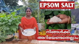 എപ്സം സോൾട്ട് അറിയേണ്ടതെല്ലാം| Advantages & Disadvantages of Epsom salt | Malayalam