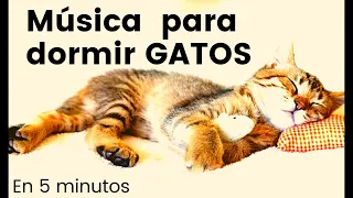 💚 MUSICA para dormir GATOS en 5 MINUTOS ⏰🐾 Canciones para gatitos 💕 MUSICA para GATOS 2023