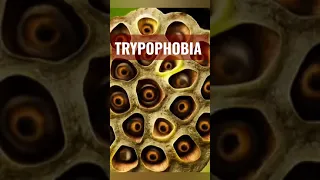 Trypophobia Test #trypophobia #shorts