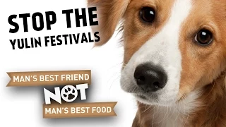 Stop The Yulin Festivals