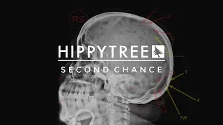 HippyTree | Second Chance