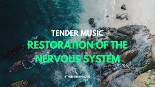 RESTORATION OF THE NERVOUS SYSTEM || Tender music