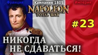 Napoleon: Total War - Французская Империя №23 - Никогда не сдаваться!