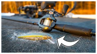 The Jerkbait Fishing Tips NO ONE Has TOLD YOU!!