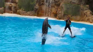 Мы -в Лоропарке /день1/Шоу дельфинов/ Visit to Loropark/Dolphin's show/Fun for kids