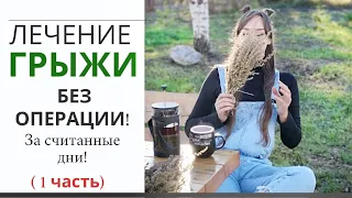 За 3 месяца ГРЫЖА  исчезла! Боли в спине ушли навсегда!