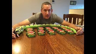 10 Boxes of 2023 Paqui One Chip Challenge!  This is Hardcore!  Almost Died....Again! 💀🔥🐍