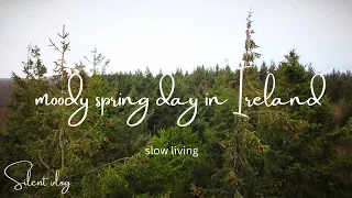 no.10 Moody spring day in Ireland. Peaceful homemaking. Day in my life. Slow living vlog.