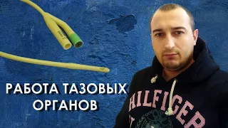 Функция тазовых органов 💦 после перелома позвоночника. Мой случай