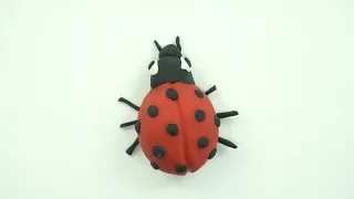 How to Make Easy Clay Ladybug | Clay Modeling for Kids | Kids School Activities