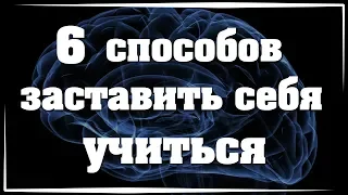 6 способов заставить себя учиться // как настроить мозг на новое // как заставить себя начать дела