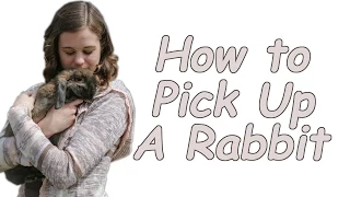 How to Pick Up and Hold a Rabbit