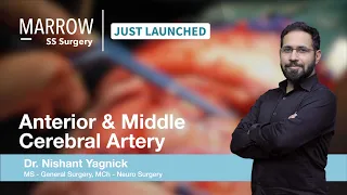 Vascular Anatomy Of Brain - ACA & MCA | Dr Nishant Yagnick | Neurosurgery | Marrow SS Surgery