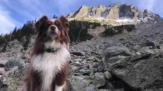 Mountain lion attack on woman's dog at Mount Baldy raises concerns among hikers