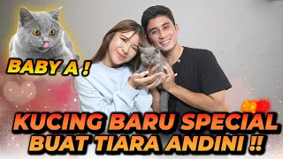 ALSHAD AHMAD KASIH HADIAH SPECIAL BUAT TIARA ANDINI