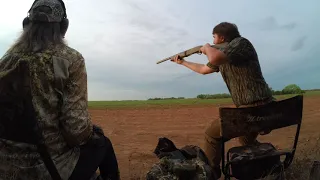 South Texas Dove Hunting 2023