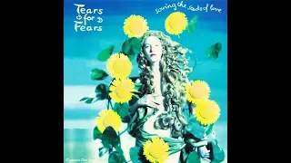 Tears For Fears - Sowing The Seeds Of Love (1989 7" Version) HQ