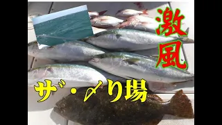 【海釣り情報】いいサイズの平目が釣れたら！〆り場第49弾